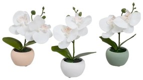 Изкуствени растения в комплект от 3 бр. (височина 15 cm) Orchid – Casa Selección