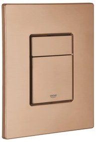 Skate Cosmopolitan Бутон, 38732DL0