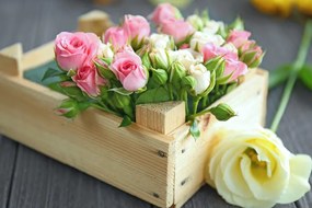 Картина на платно – Нежна цветна композиция