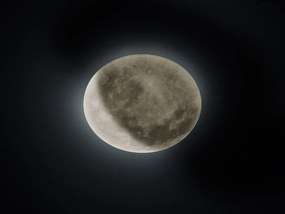 Светлосива LED детска лампа за таван с абажур от акрилно стъкло ø 40 cm Lunar – Trio