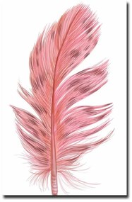 Живопис 45x70 cm Feather - Wallity