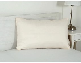 Калъфка за възглавница от микрофибър 45x75 cm Summer – B.E.S.