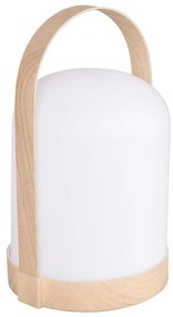 LED RGBW Декоративна настолна лампа MINORKA LED/0,3W/4,5V 3xAA