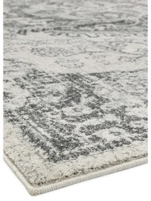 Сиво-кремав килим 200x290 cm Nova – Asiatic Carpets
