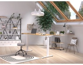 Работна маса с електрическо регулиране на височината с дъбов плот 80x160 cm Jet – Germania