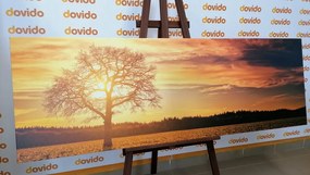Картина на платно – Самотно дърво