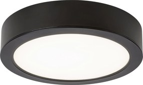 Shaun,плафон повърхностен монтаж LED 24W,D22cm,IP44