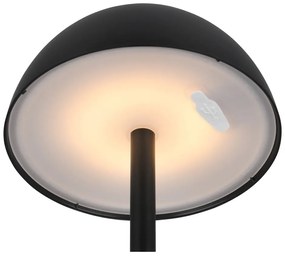 Затъмняващо се външно осветително тяло ø 13,5 cm Ricardo – Trio