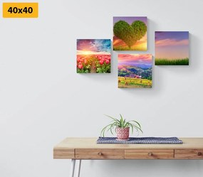 Комплект картини – Природа в пастелни цветове