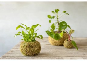 Саксия за цветя ø 14,5 cm Kokedama – Esschert Design