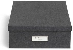 Картонени органайзери за докумнети в комплект от 5 бр. Holger – Bigso Box of Sweden