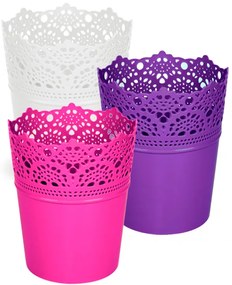 Саксия Дейзи средна