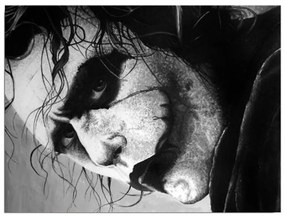 Картина за стена върху платно Жокер, 40 x 30 cm - Wallity