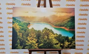 Картина на платно – Река в зелена гора