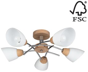 Spot-Light 8141574 - Полилей за повърхностен монтаж VILETTA 5xE27/40W/230V