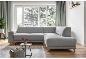 Светлосив разтегателен/с място за съхранение ъглов диван (десен ъгъл/L форма) Classy Sophie – Miuform