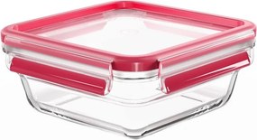 Tefal - Кутия за храна 0,8 л MSEAL GLASS червена/стъкло