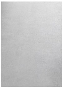 Светлосив килим подходящ за пране 60x110 cm Sky – Ayyildiz Carpets