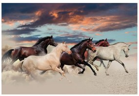 Фототапет – Величествен елен