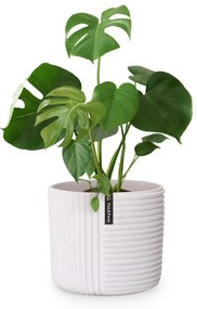 Fox & Fern Саксия Hasselt от полистоун, ръчна изработка, подходяща за растения в 3D вид.