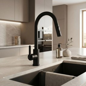 Смесител за кухня REA Ontario Black