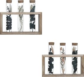 Декоративни цветя atmosphera House, 17 cm