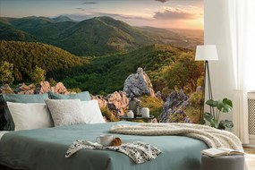 Фототапет – Природа окъпана в слънце