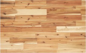 3279694 vidaXL Плот за баня, маслен финиш, 80x50x2 см, масивно дърво акация