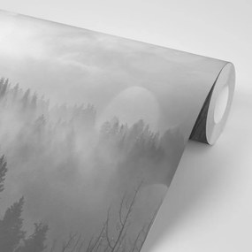 Самозалепващ фототапет – Черно-бяла мъгла над гора