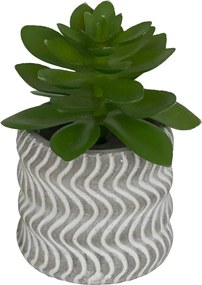 Изкуствено растение atmosphera Ubi Succulent, 7 cm, Различни видове