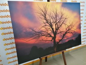 Картина на платно – Прекрасно дърво на ливадата