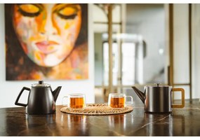 Сив чайник от неръждаема стомана с цедка 1,1 l Duet Narvik – Bredemeijer