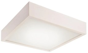 LED Лампа за таван 1xLED/24W/230V