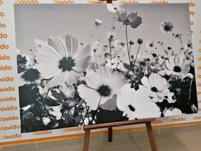 Картина на платно – Летни цветя в черно-бяло