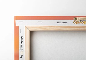 Картина на платно – Цветно небе