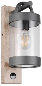 Стенно външно осветително тяло (височина 33 cm) Sambesi – Trio