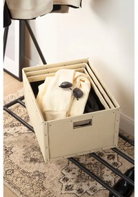 Бежови картонени кутии за съхранение в комплект от 3 броя Ture - Bigso Box of Sweden