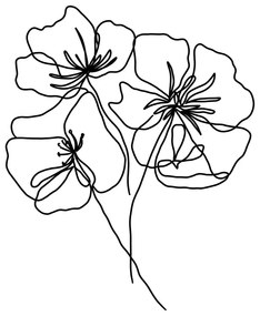 Постер 29x41 cm Black Poppy – Veronika Boulová