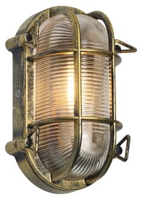 Външна стенна и таванна лампа антично злато овална IP44 - Noutica