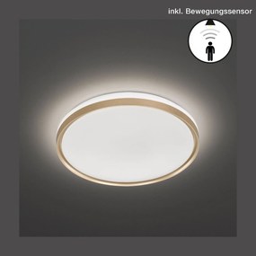 таванна светлина покрив F&amp;H Jaso BS-Диаметър 39 См.-Злато