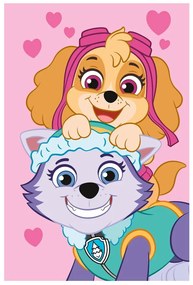 Бебешко одеяло от флийс 100x150 cm Paw Patrol – Jerry Fabrics