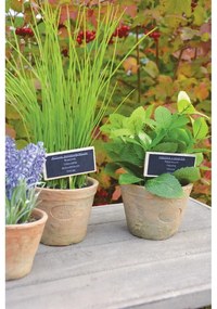 Изкуствено растение (височина 27 cm) Chives – Esschert Design