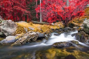 Фототапет - Сатенен водопад