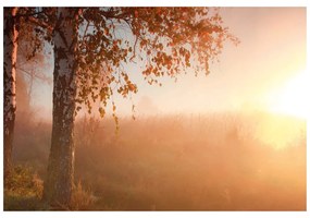 Самозалепващ фототапет – Мъглива есенна гора