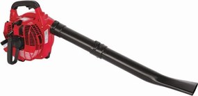Бензинов листосъбирач Raider RD-GVB05, 750W 30L