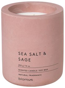 Свещ от соев восък с време на горене 24 h Fraga: Sea Salt and Sage – Blomus