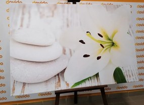 Картина на платно – Лилия и масажни камъни в бяло