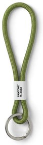Зелен ключодържател Green 15-0343 – Pantone