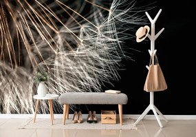 Самозалепващ фототапет – Красота на глухарче