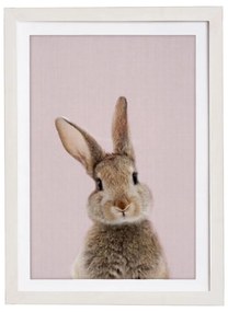 Картина за стена в рамка Baby Rabbit, 30 x 40 cm Rose Baby Rabbit - Querido Bestiario